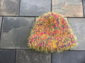 Beanie Hat
